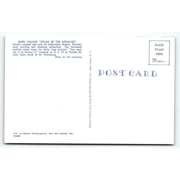 Weeki Wachee Florida Postcard Worlds Original Underwater Show Chrome Unused - Picture 2 of 2